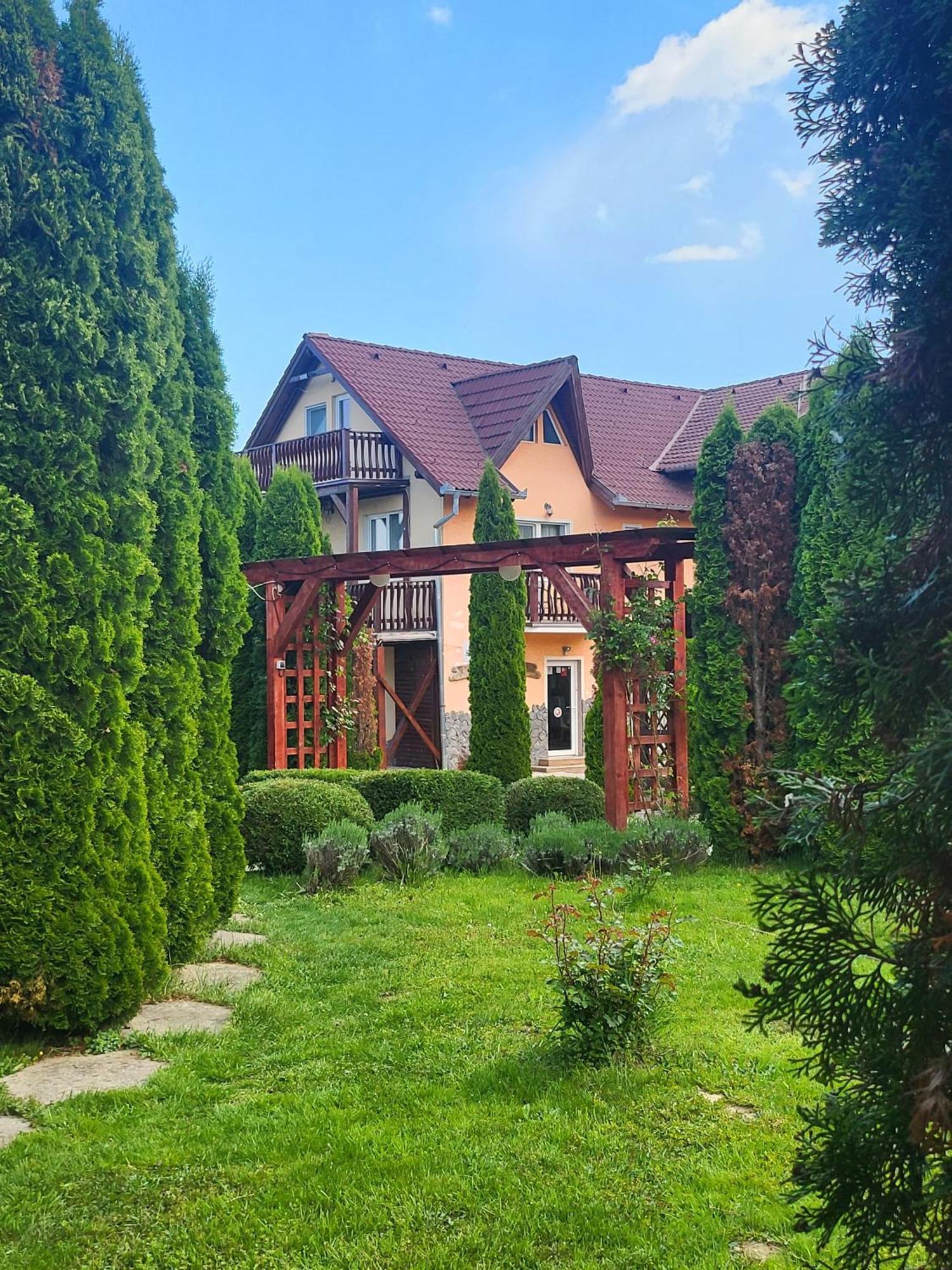 Pensiunea Mountain King Sîmbăta de Sus Extérieur photo