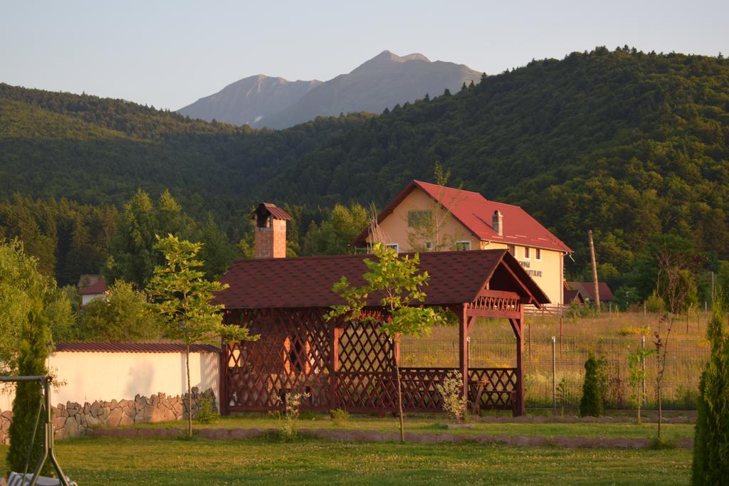Pensiunea Mountain King Sîmbăta de Sus Extérieur photo