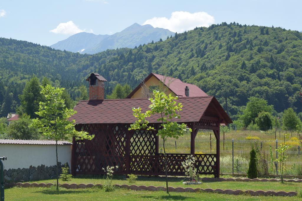 Pensiunea Mountain King Sîmbăta de Sus Extérieur photo