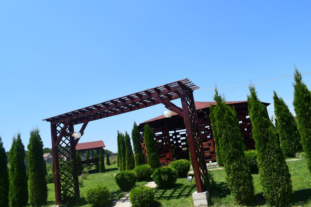 Pensiunea Mountain King Sîmbăta de Sus Extérieur photo