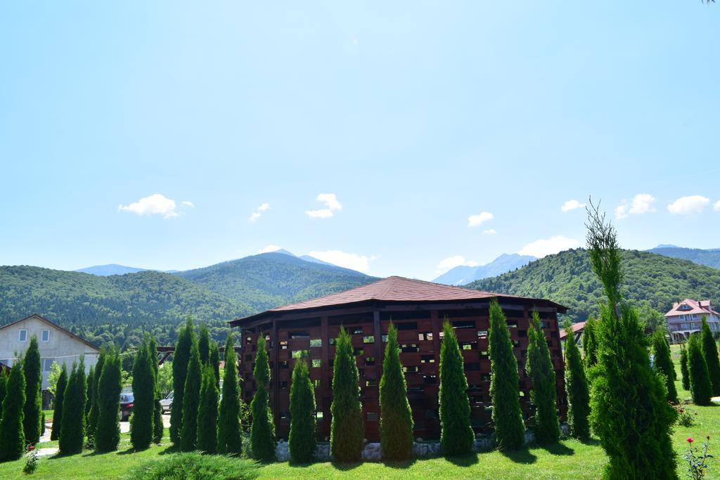 Pensiunea Mountain King Sîmbăta de Sus Extérieur photo