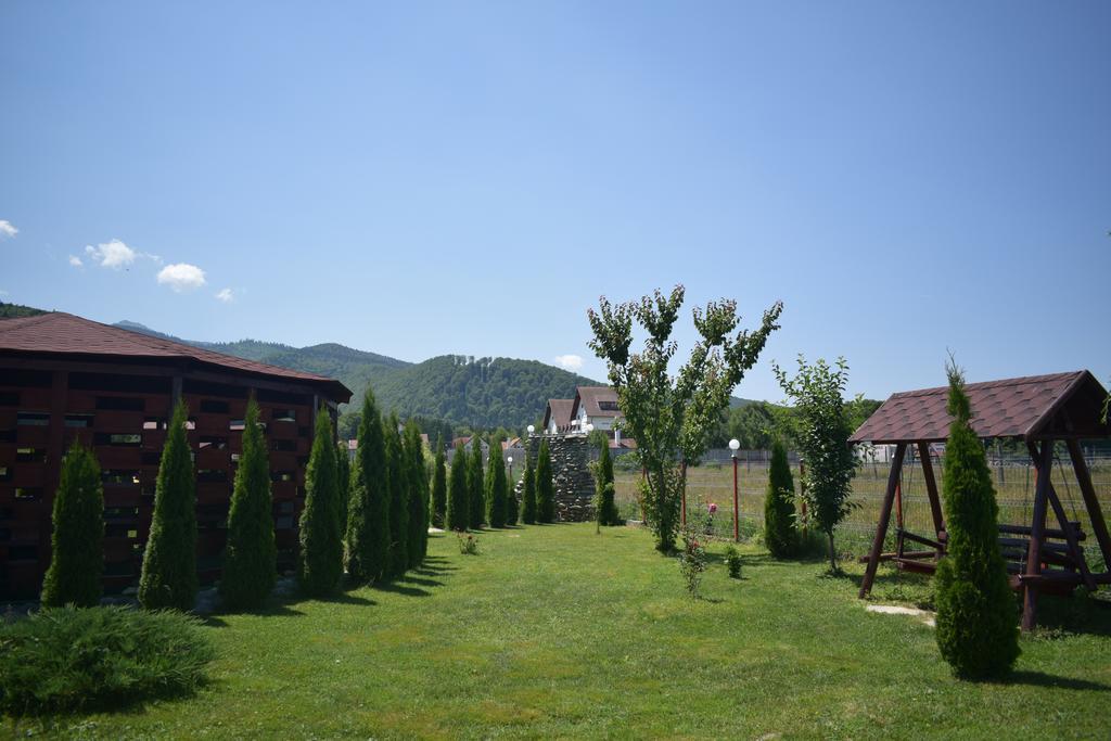 Pensiunea Mountain King Sîmbăta de Sus Extérieur photo
