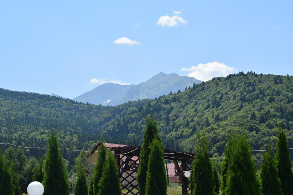 Pensiunea Mountain King Sîmbăta de Sus Extérieur photo
