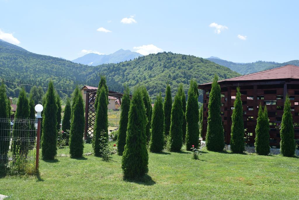Pensiunea Mountain King Sîmbăta de Sus Extérieur photo