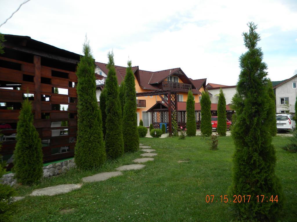 Pensiunea Mountain King Sîmbăta de Sus Extérieur photo