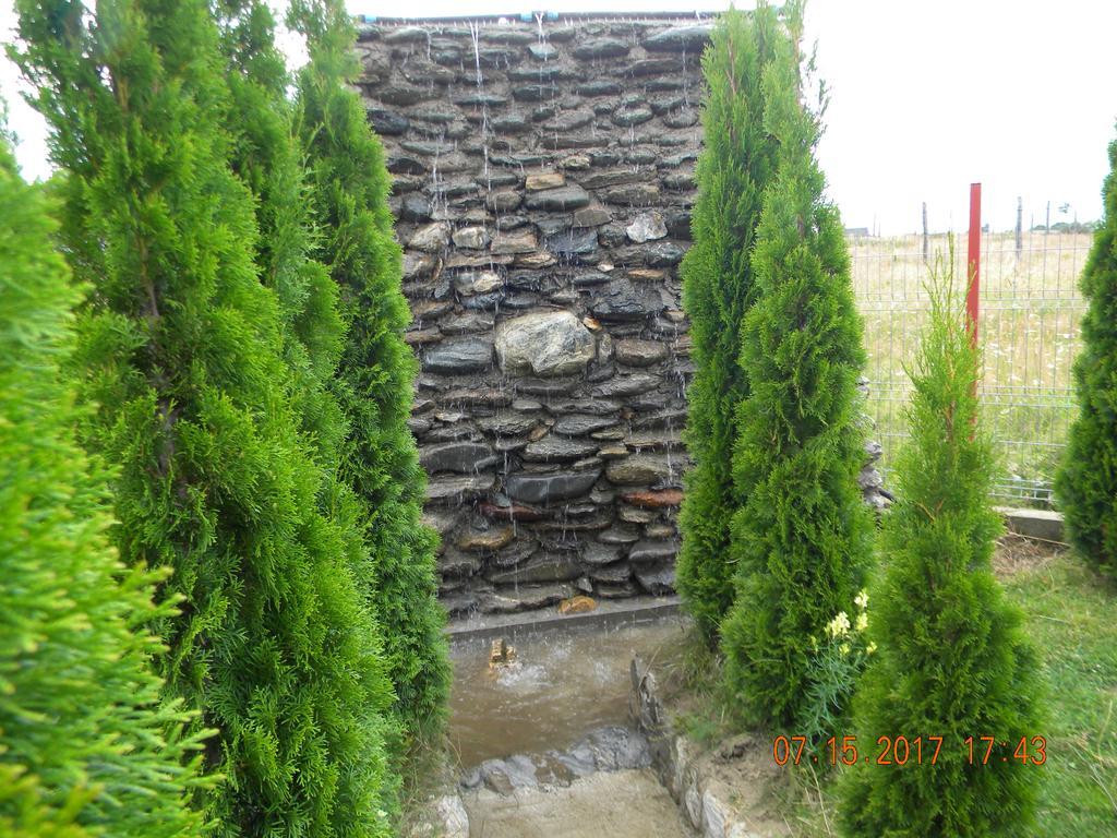 Pensiunea Mountain King Sîmbăta de Sus Extérieur photo
