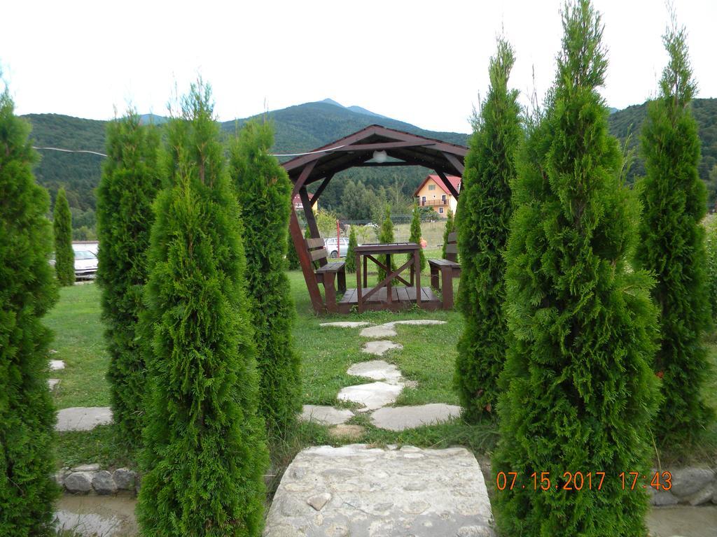 Pensiunea Mountain King Sîmbăta de Sus Extérieur photo