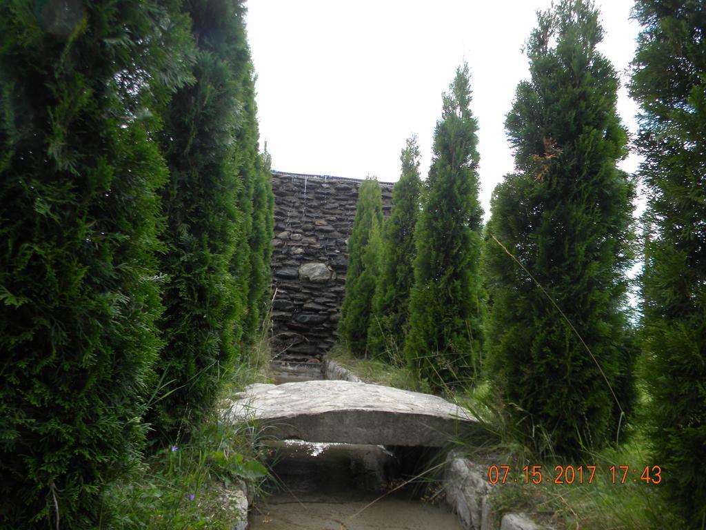 Pensiunea Mountain King Sîmbăta de Sus Extérieur photo
